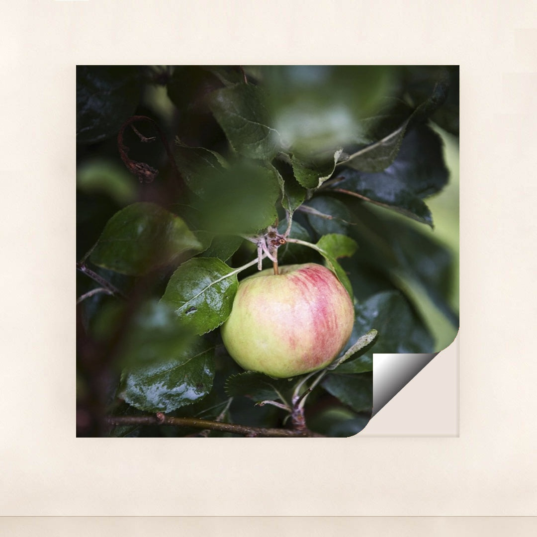 7090289573923 - Product Image