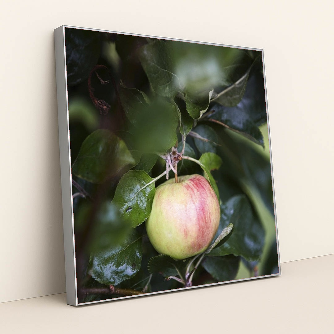 7090289573923 - Product Image