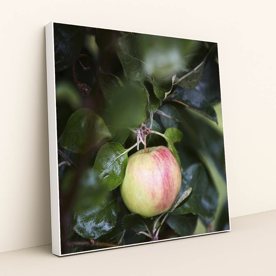 7090289573923 - Product Image