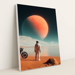 6234 - Product Image