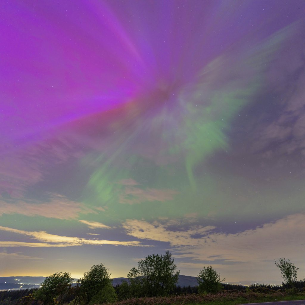 Purple and Green Northern Lights Illuminating Evening Sky Over Forest by chris clark