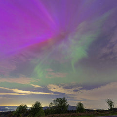 Purple and Green Northern Lights Illuminating Evening Sky Over Forest by chris clark