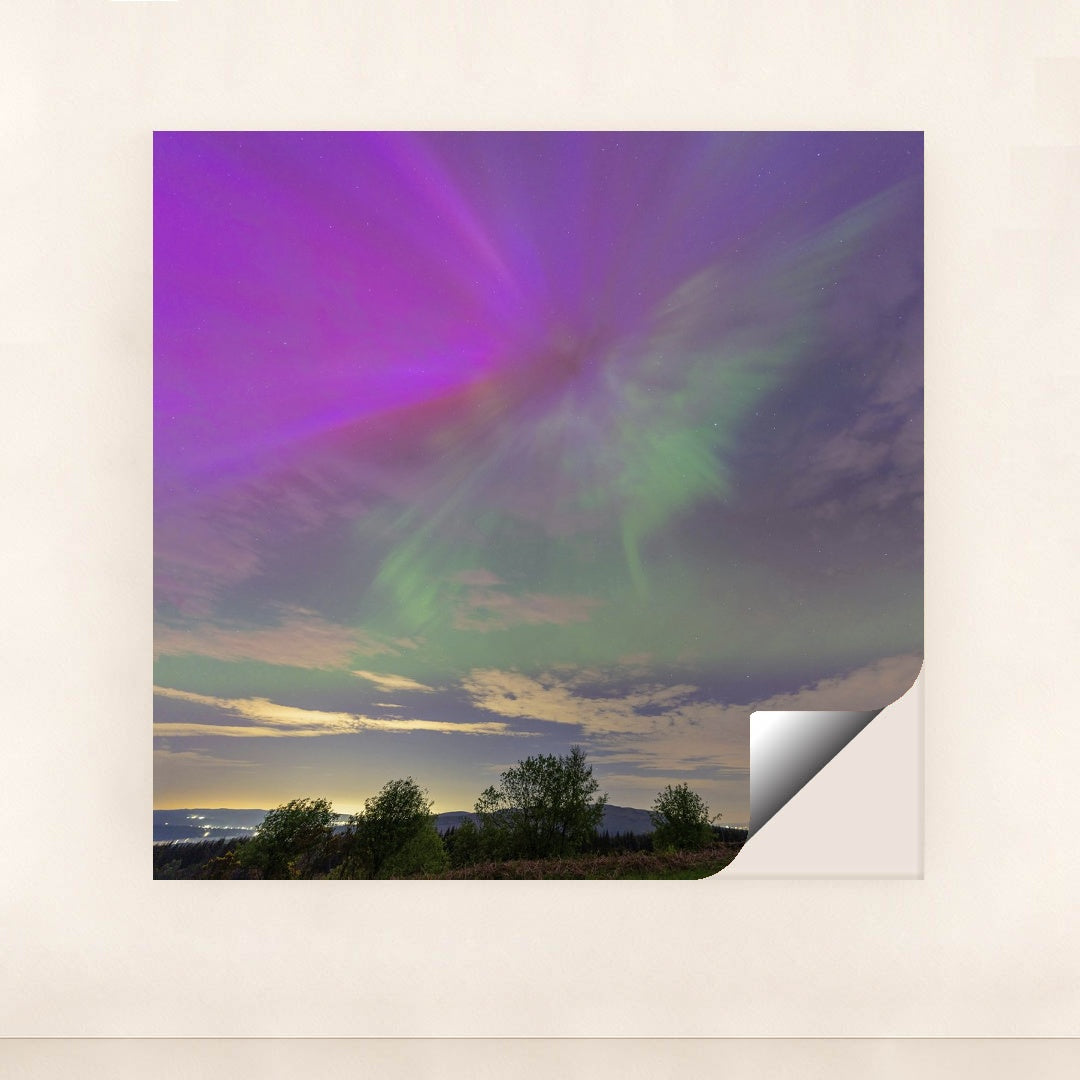 Purple and Green Northern Lights Illuminating Evening Sky Over Forest by chris clark - Peeliez