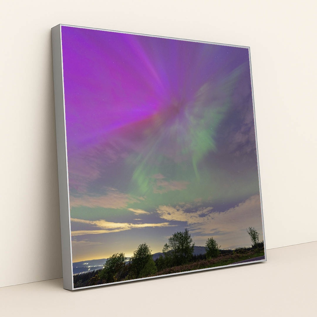 Purple and Green Northern Lights Illuminating Evening Sky Over Forest by chris clark - Silver Frame Stretchiez