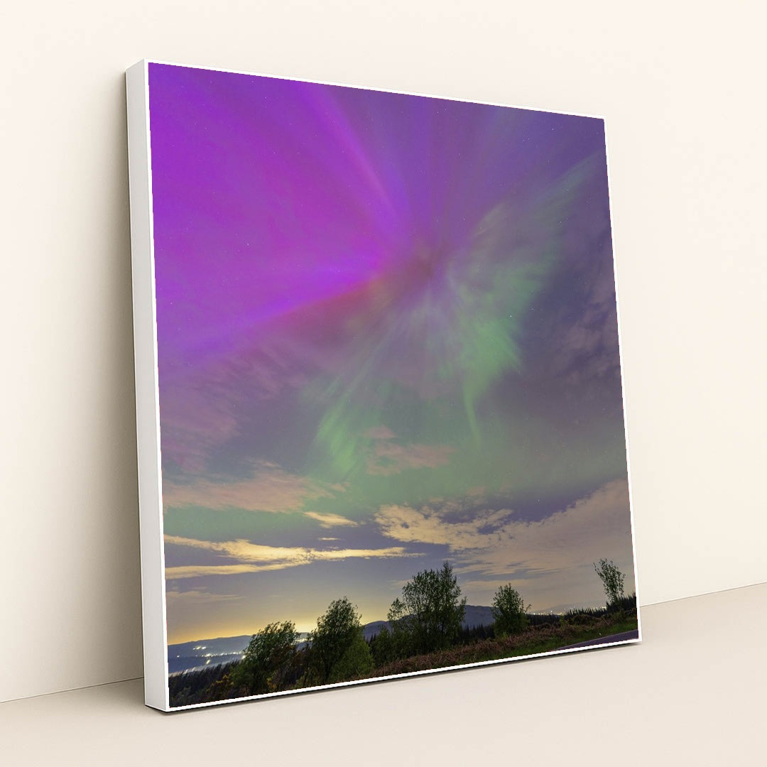 Purple and Green Northern Lights Illuminating Evening Sky Over Forest by chris clark - White Frame Stretchiez