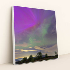 Purple and Green Northern Lights Illuminating Evening Sky Over Forest by chris clark - White Frame Stretchiez