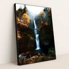 Autumn at Multnomah by Nick Chung - Black Frame Stretchiez