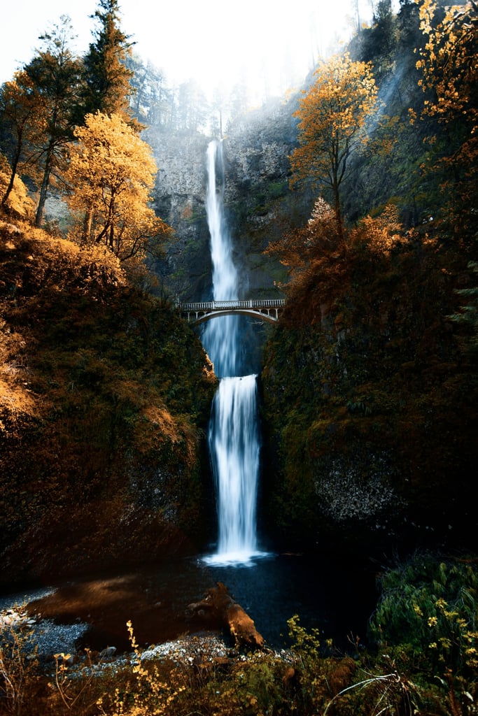 Autumn at Multnomah by Nick Chung
