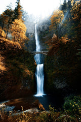 Autumn at Multnomah by Nick Chung
