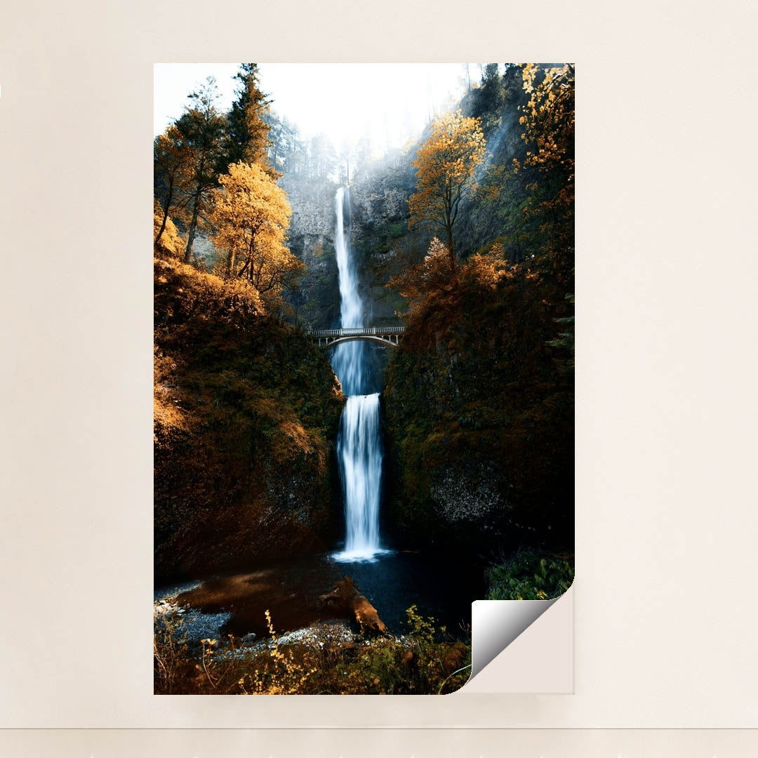 Autumn at Multnomah by Nick Chung - Peeliez