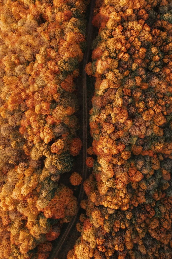 6342 - Product Image