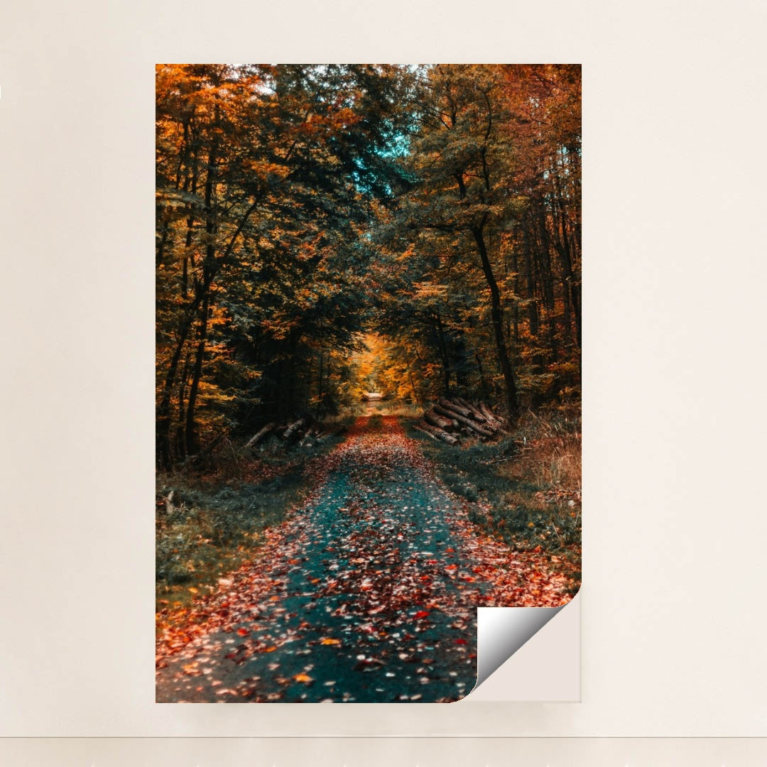 6330 - Product Image