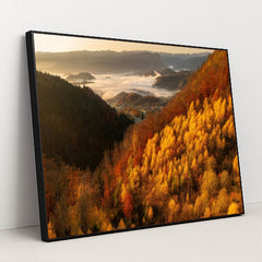 6343 - Product Image