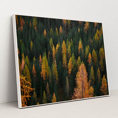 6333 - Product Image