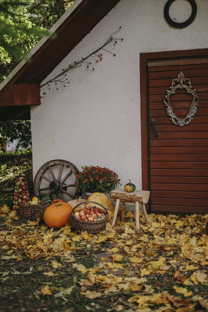 Valeria Boltneva - Charming autumn scene with pumpkins, apples, and rustic decor outside a wooden shed.
