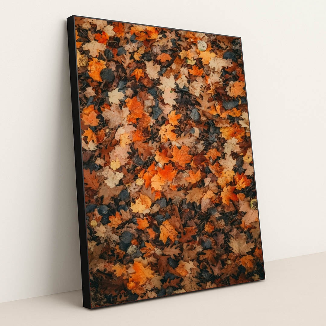 6335 - Product Image