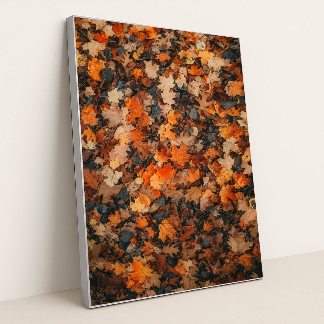 6335 - Product Image