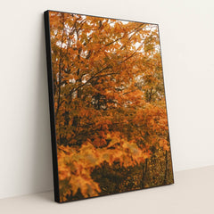 6339 - Product Image