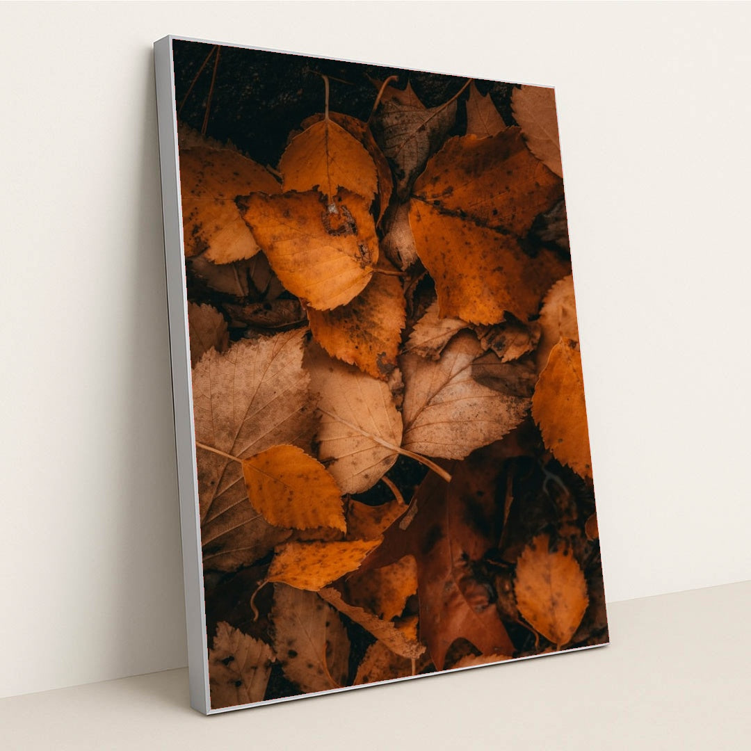 6334 - Product Image