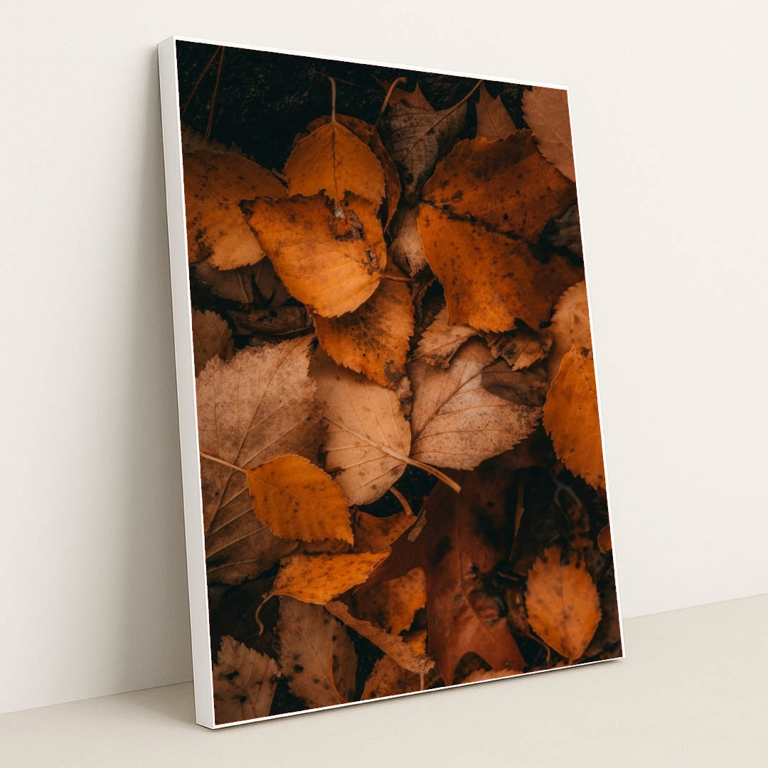 6334 - Product Image