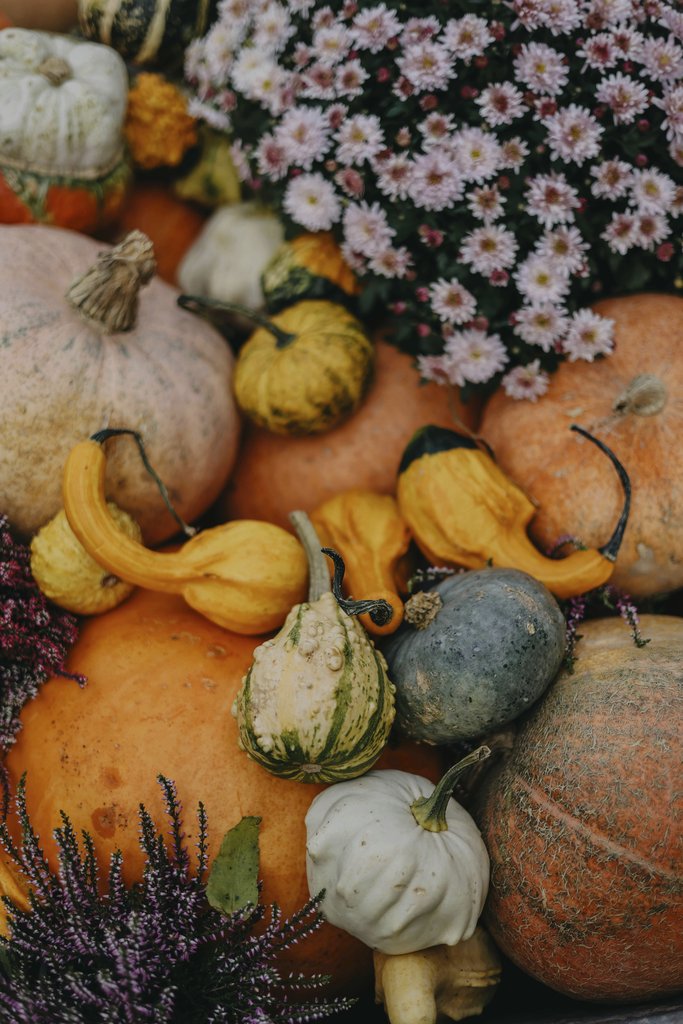 Valeria Boltneva - A vibrant autumn still life featuring pumpkins, gourds, and flowers, perfect for seasonal celebrations.