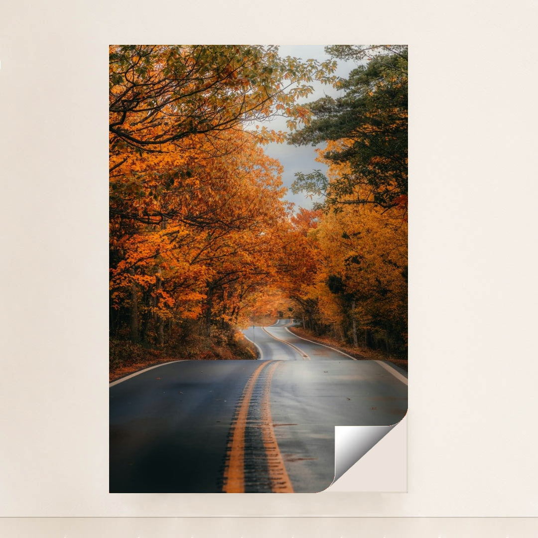 6331 - Product Image