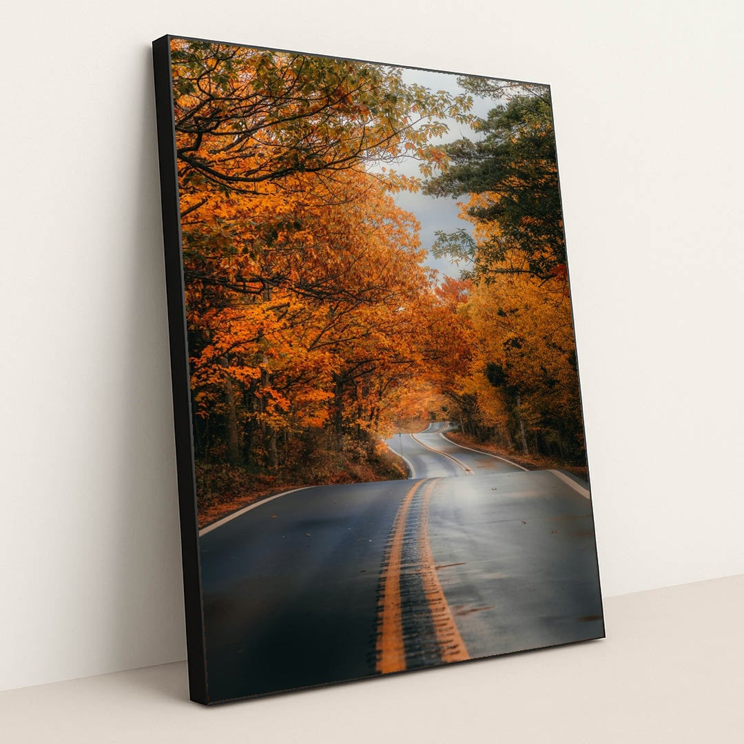 Autumn Voyage by Hans - Black Frame Stretchiez