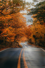 Autumn Voyage by Hans