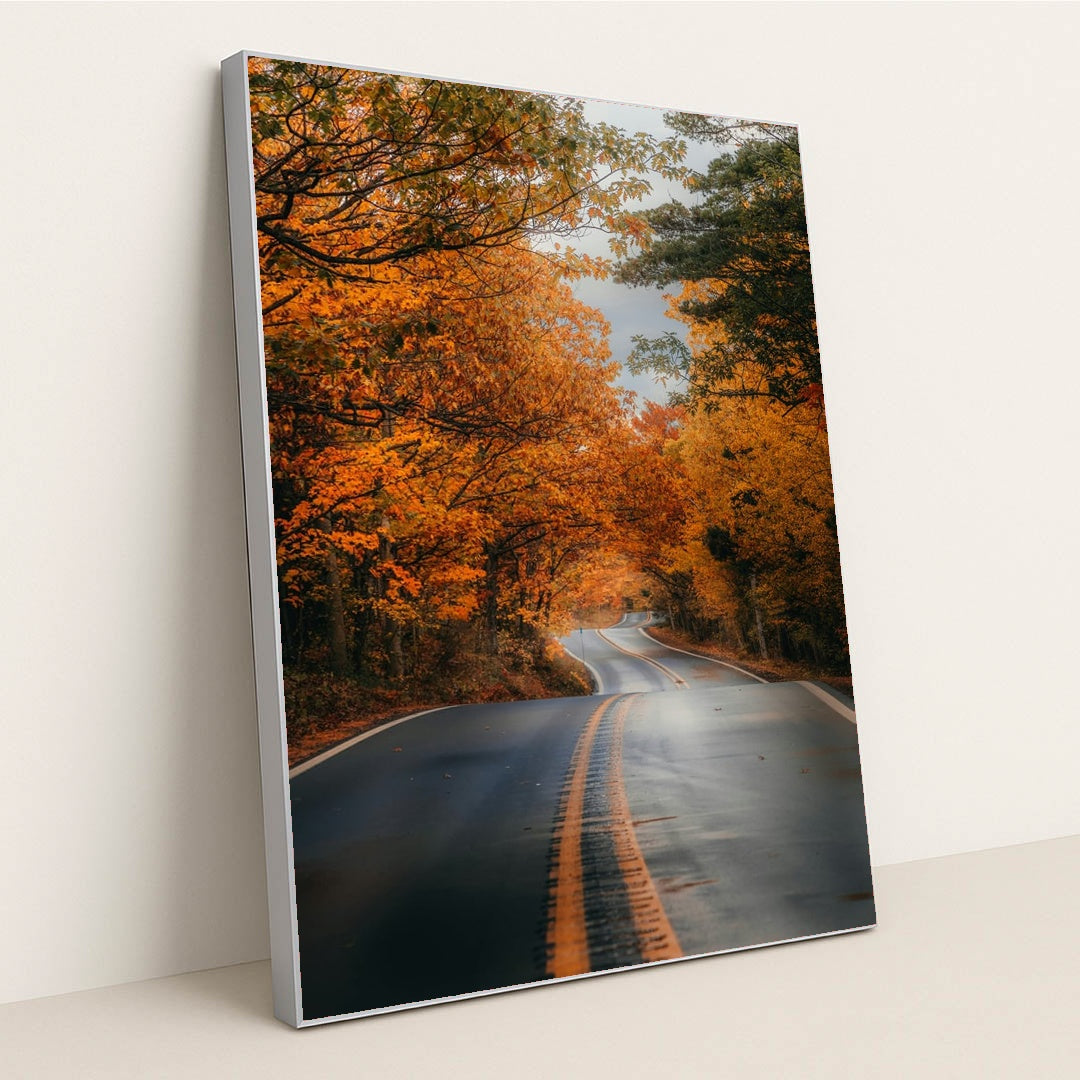 Autumn Voyage by Hans - Silver Frame Stretchiez