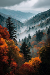 Autumnal Haze by Tara Phillips