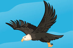 Adri Ansyah - An eagle flying in the sky with its wings spread