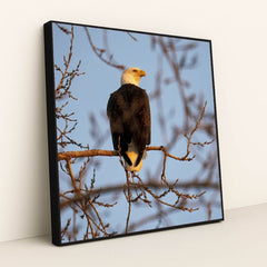 7090330697763 - Product Image