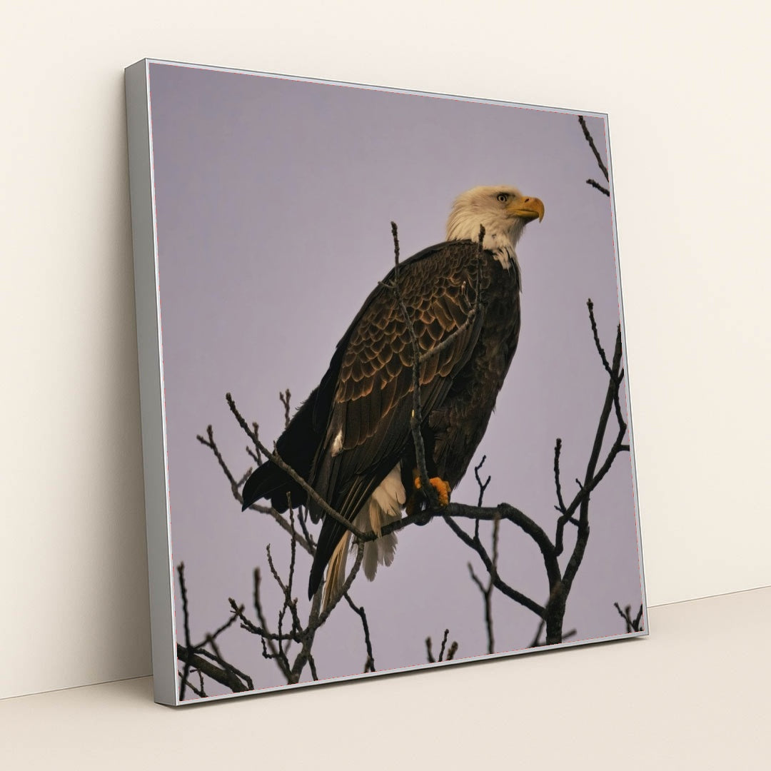 7090344820771 - Product Image