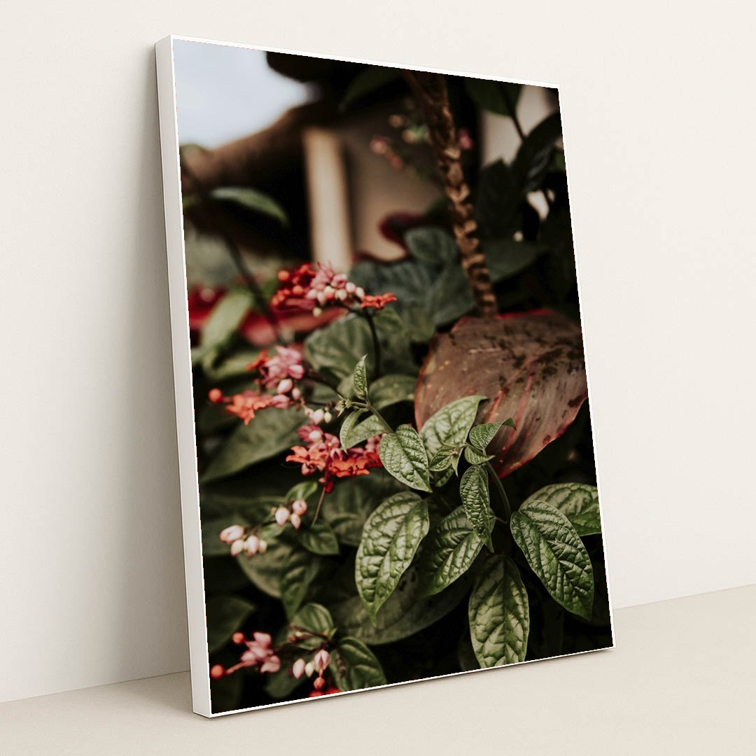Bali Garden Blooms by Alesia Kozik - White Frame Stretchiez