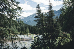 Snow-Capped Rocky Mountains and Evergreen Forest by River in Banff by Ali Kazal