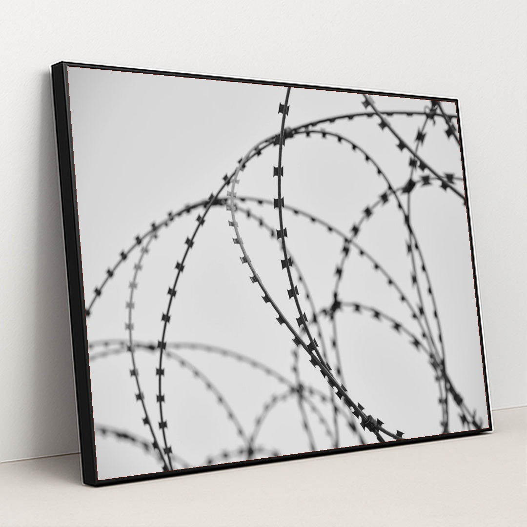 7090500436003 - Product Image