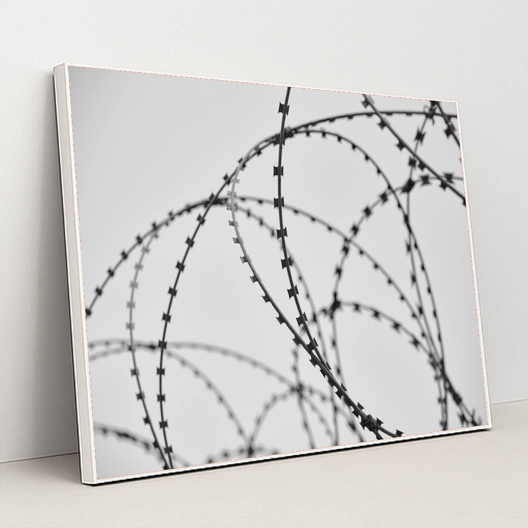 7090500436003 - Product Image