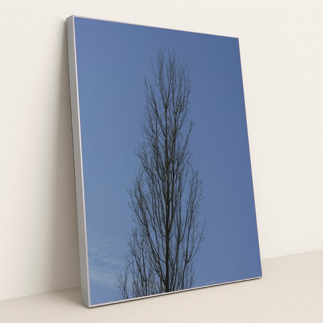 7090462457891 - Product Image