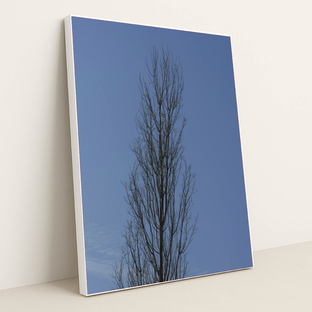 7090462457891 - Product Image