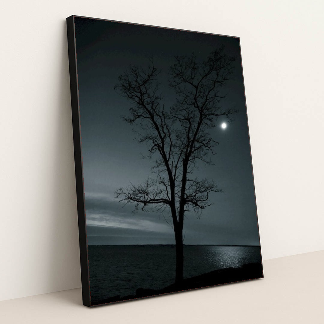 7090798657571 - Product Image