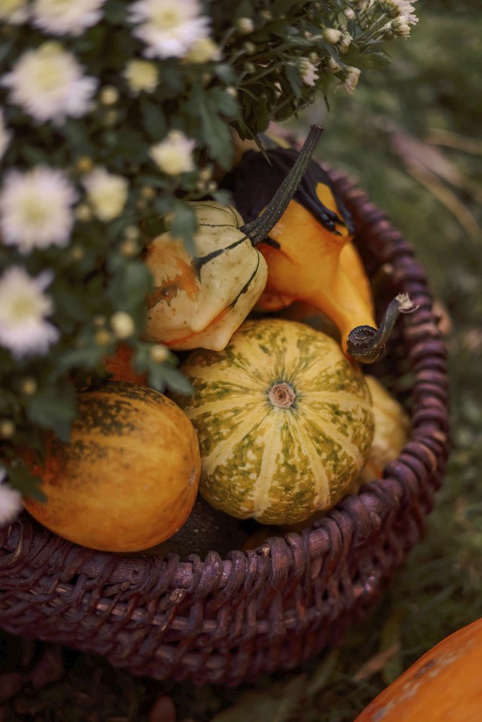Valeria Boltneva - A wicker basket filled with autumn gourds surrounded by flowers, perfect for fall decoration.