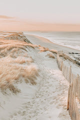 This artwork features a sandy beach path through coastal grass with soft pink light.