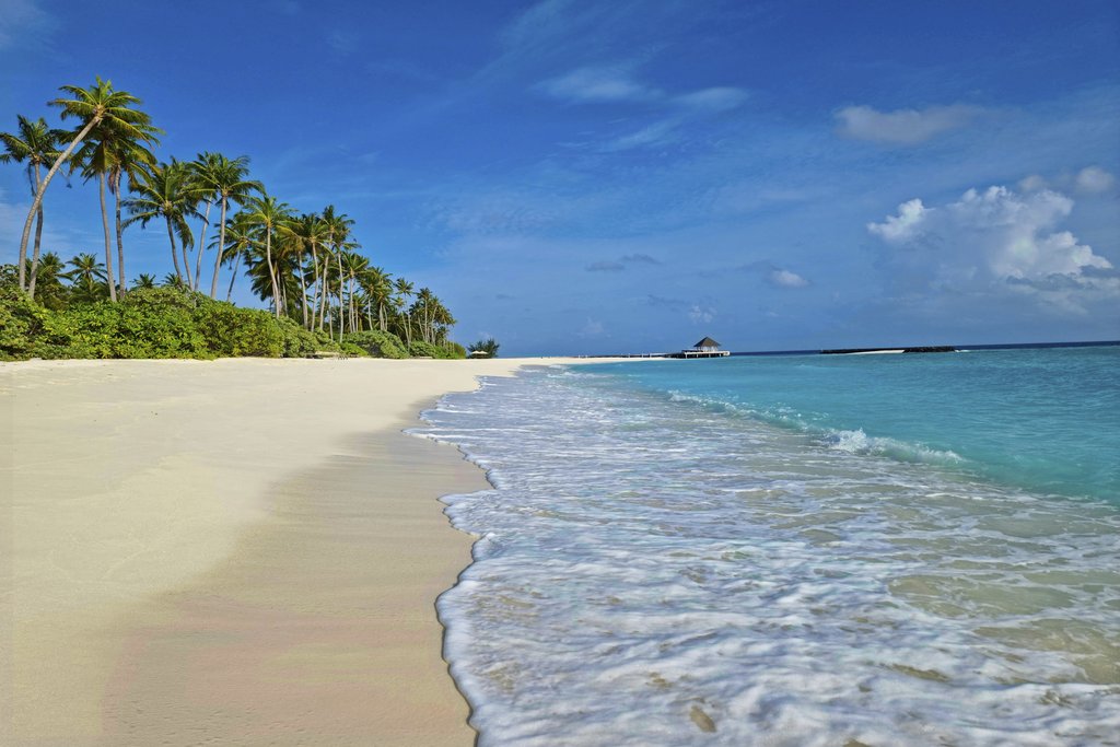 Geek Wandering - Experience the tranquil beauty of a pristine beach in the Maldives with clear blue waters and lush palm trees.