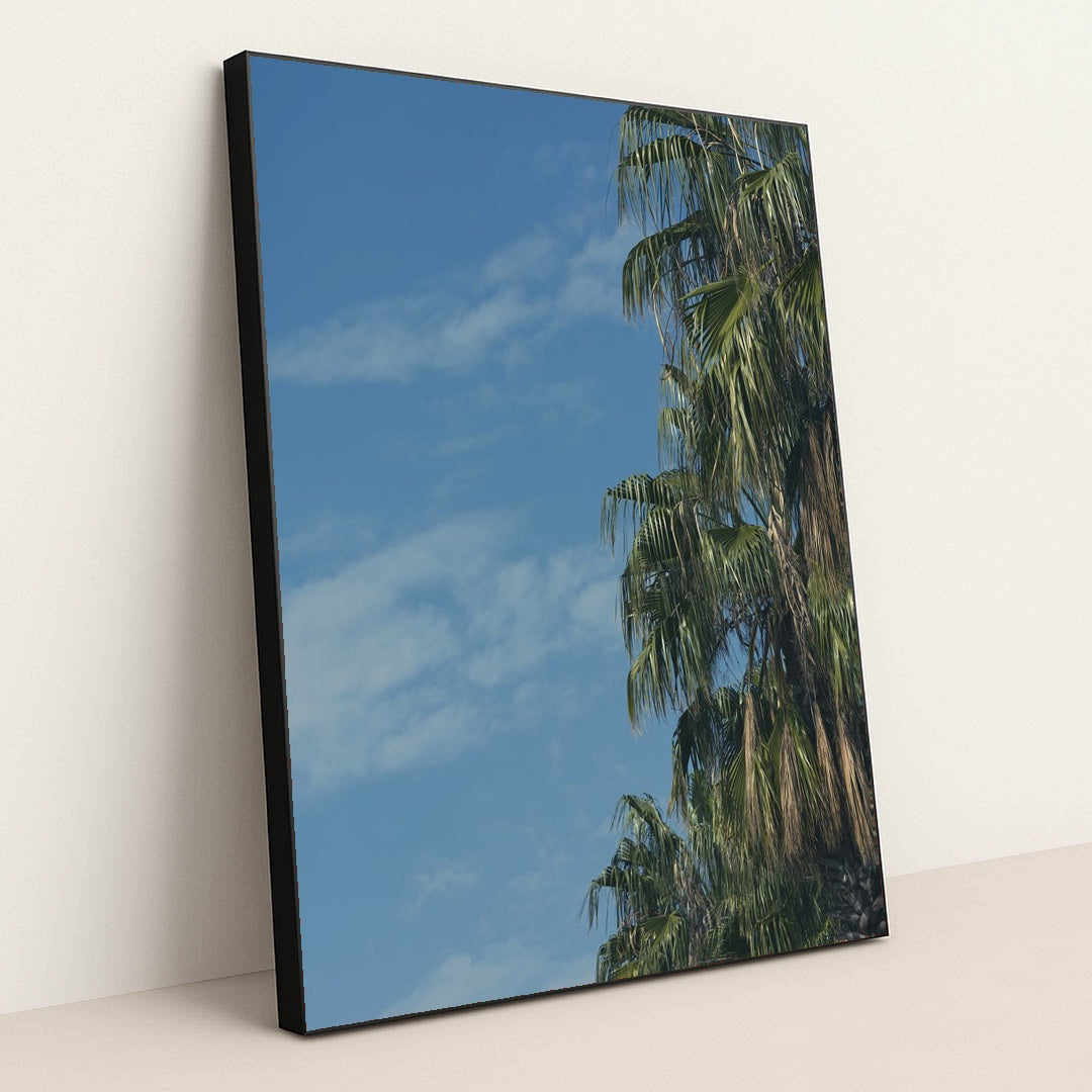 Palm Tree Portrait with Rich Greenery and Outdoor Ambience by Engin Akyurt - Black Frame Stretchiez