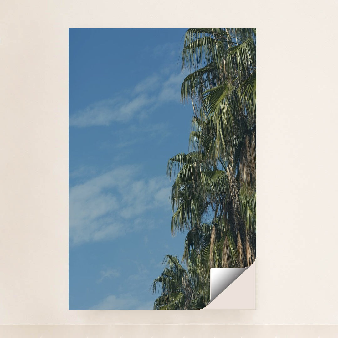 Palm Tree Portrait with Rich Greenery and Outdoor Ambience by Engin Akyurt - Peeliez