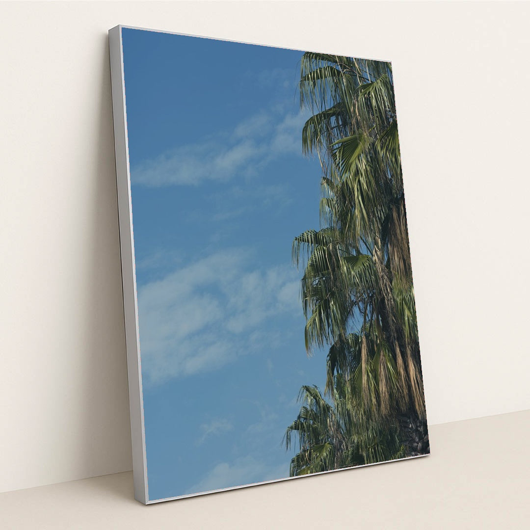 Palm Tree Portrait with Rich Greenery and Outdoor Ambience by Engin Akyurt - Silver Frame Stretchiez