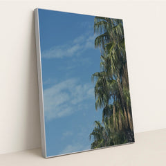 Palm Tree Portrait with Rich Greenery and Outdoor Ambience by Engin Akyurt - Silver Frame Stretchiez