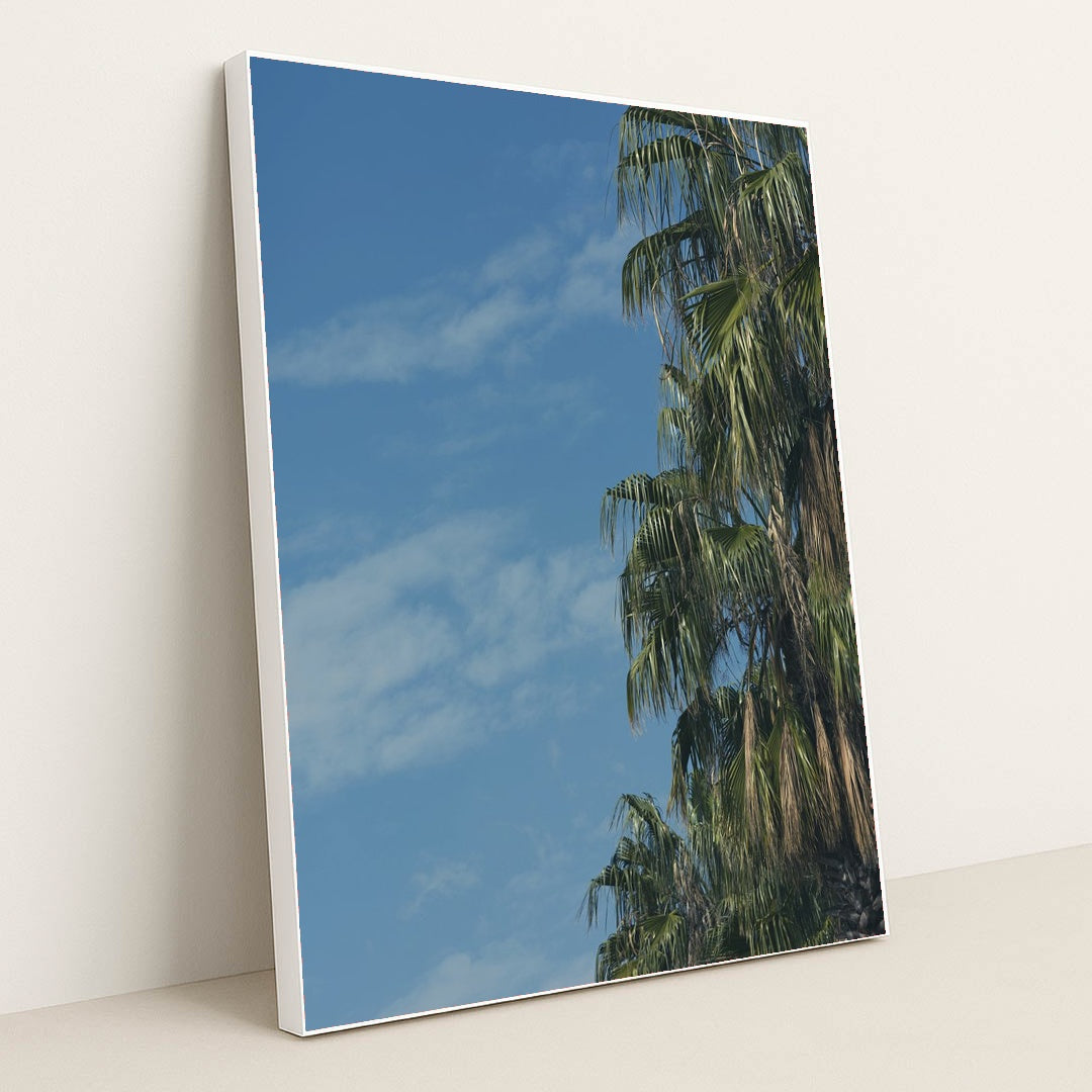 Palm Tree Portrait with Rich Greenery and Outdoor Ambience by Engin Akyurt - White Frame Stretchiez