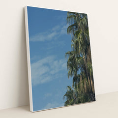 Palm Tree Portrait with Rich Greenery and Outdoor Ambience by Engin Akyurt - White Frame Stretchiez