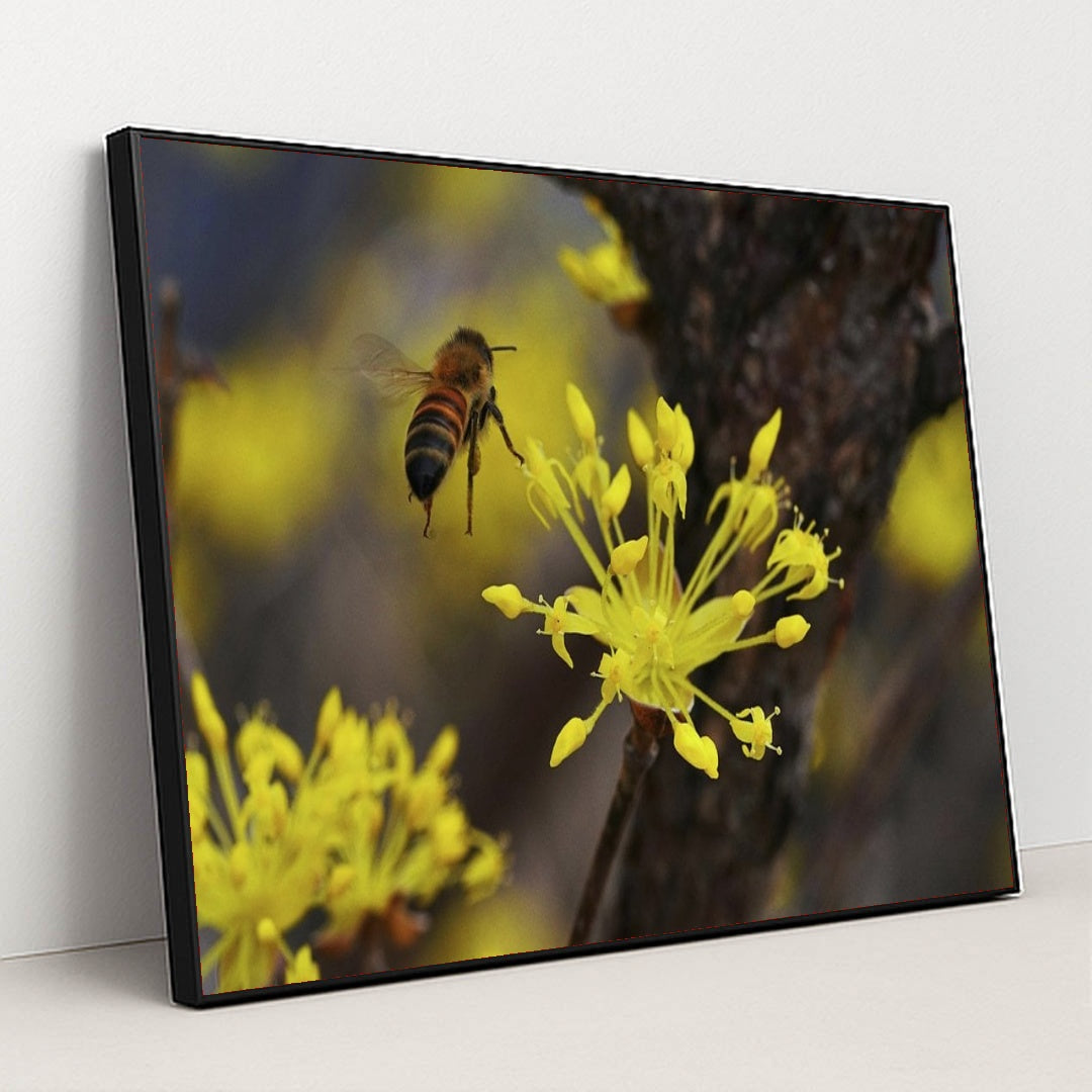 7090328567843 - Product Image